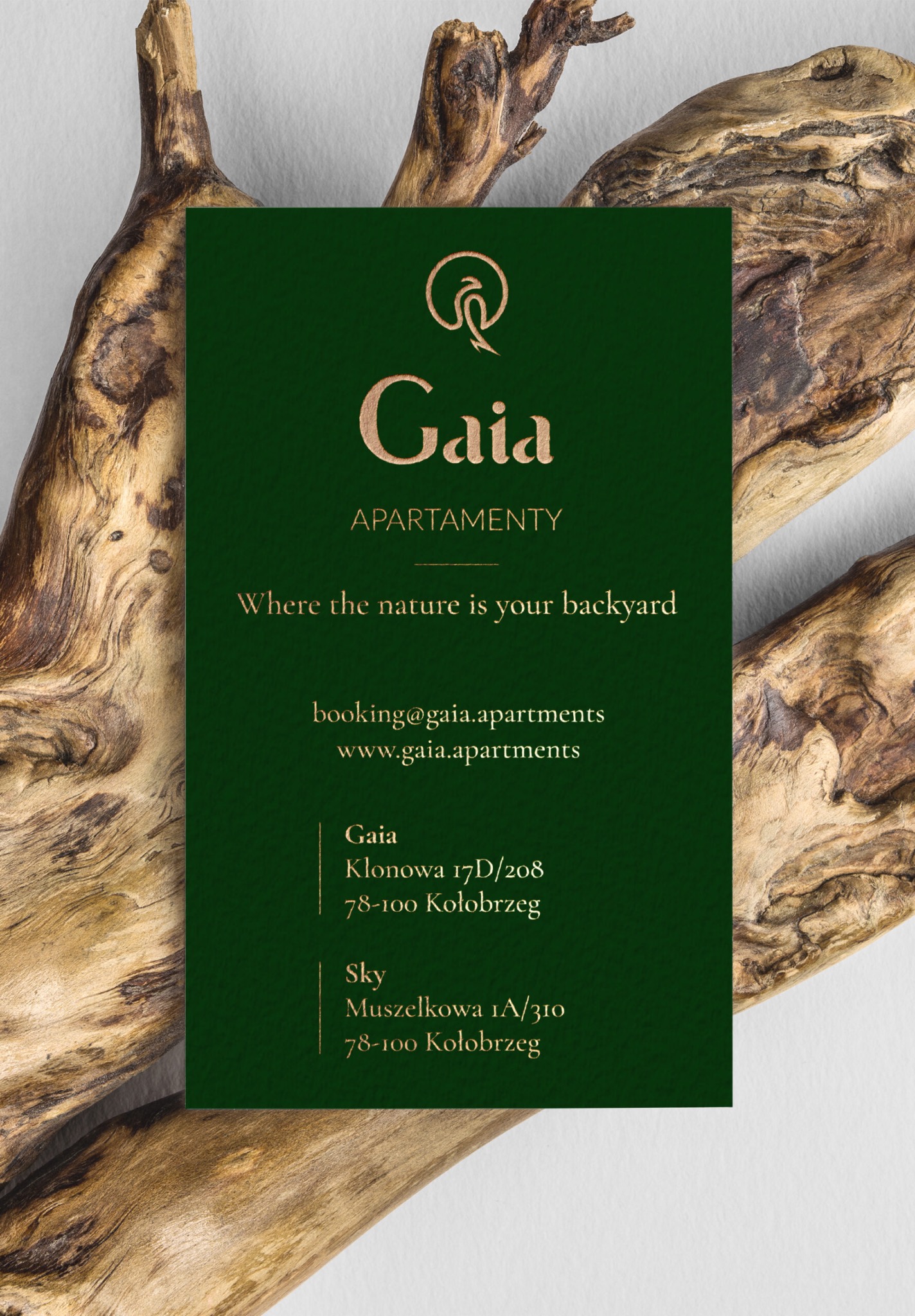 Ciemnozielona wizytówka firmy Gaia Apartamenty z logo i danymi kontaktowymi na tle naturalnego, jasnego drewna.