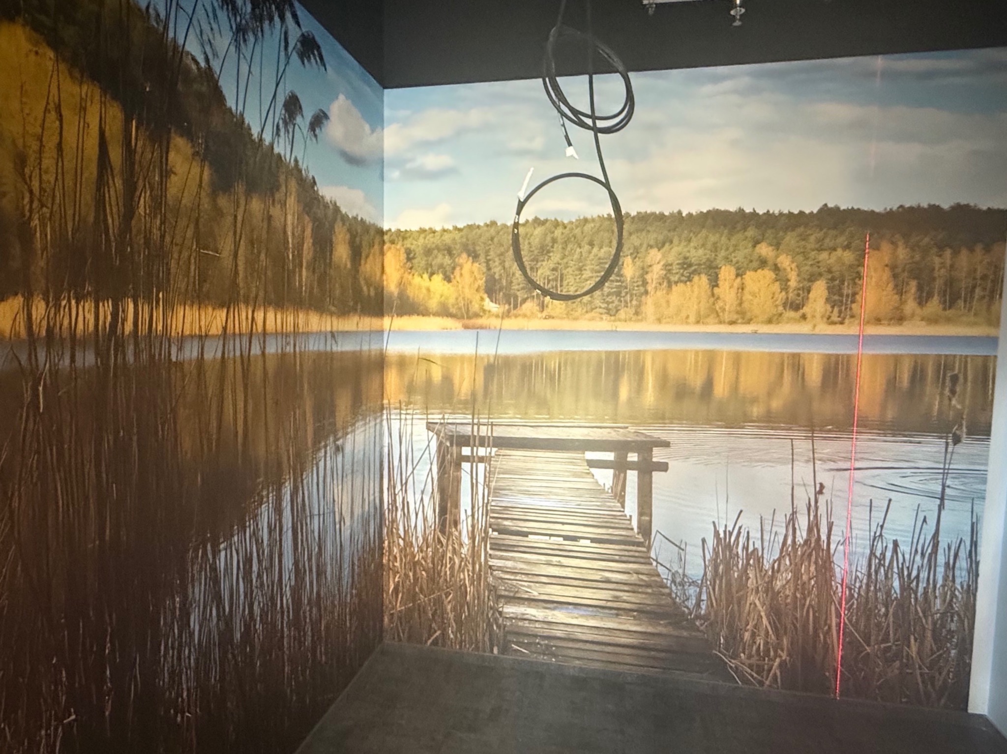 Fototapeta z motywem jeziora i pomostu, na ścianie w pomieszczeniu. Widoczne wiszące kable. Realistyczny krajobraz z roślinnością i odbiciem w wodzie.