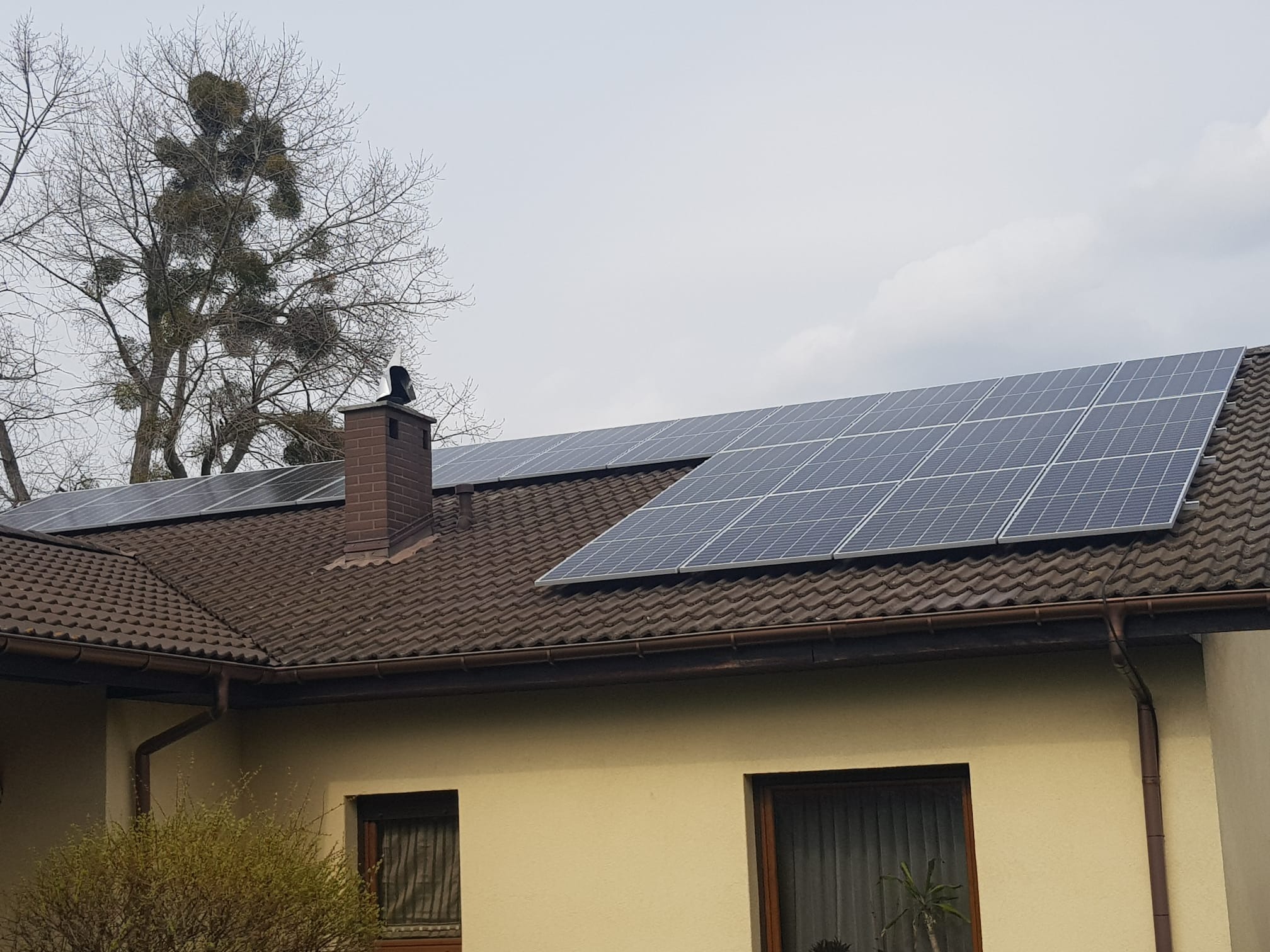 Panele słoneczne na brązowym dachu domu jednorodzinnego z ceglanym kominem, drzewo z jemiołą w tle, pochmurne niebo.