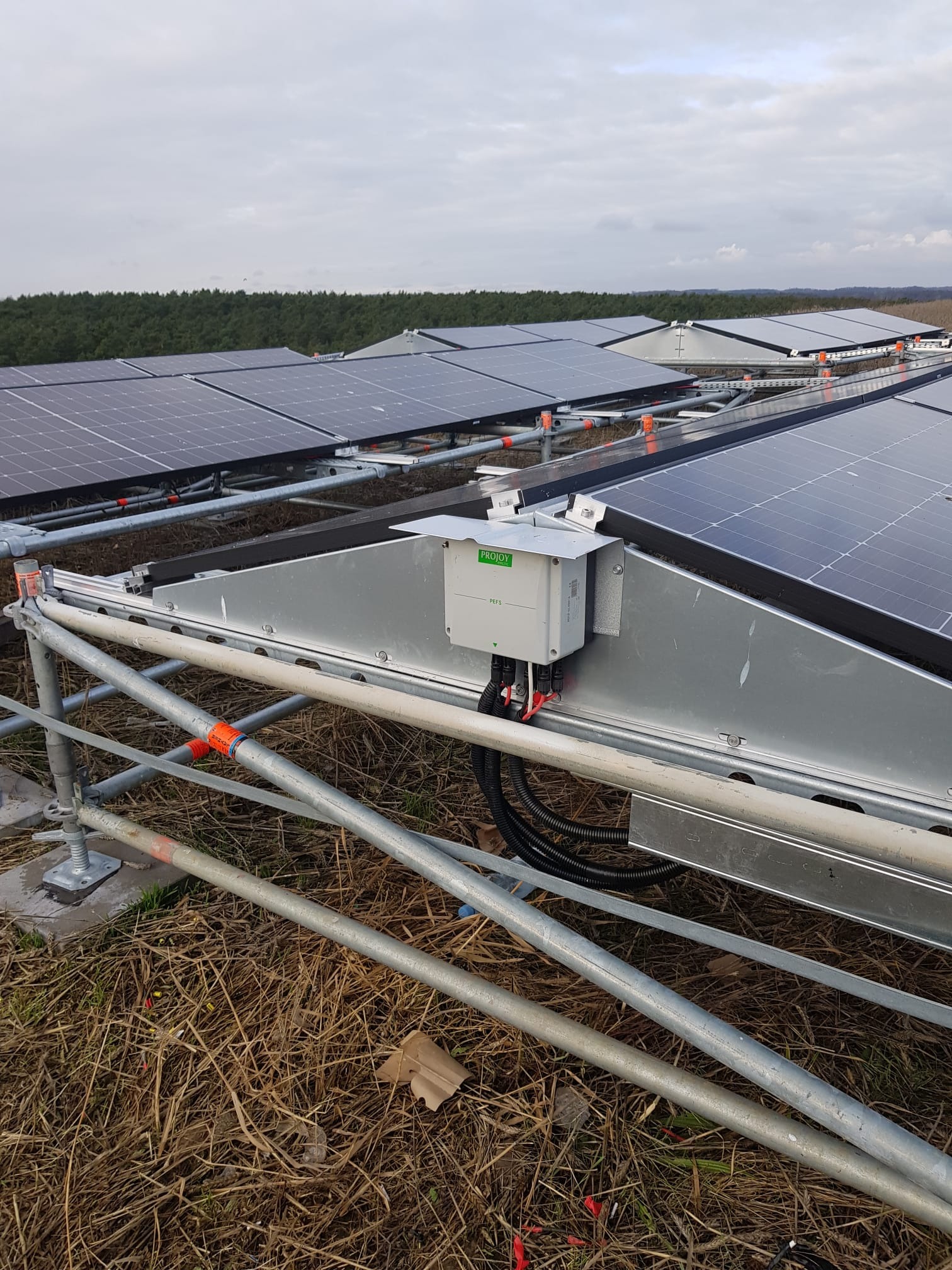 Szereg paneli fotowoltaicznych na metalowej konstrukcji wsporczej z widoczną puszką przyłączeniową Projoy oraz okablowaniem, na tle pochmurnego nieba i lasu.