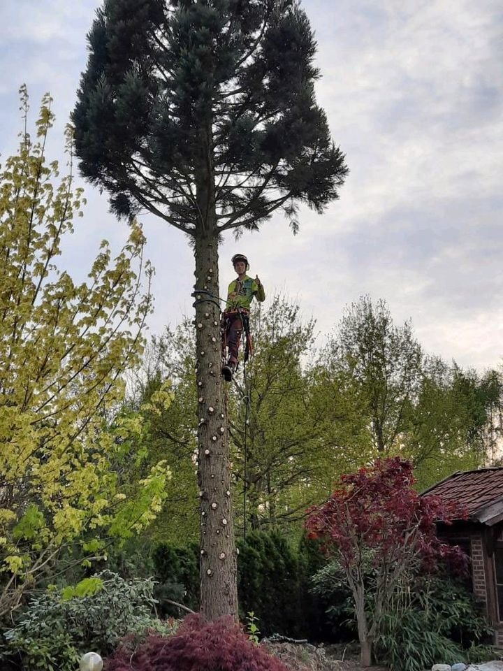 Pracownik na wysokości, zabezpieczony linami, wspina się po drzewie z obciętymi gałęziami, które imituje maszt telefonii komórkowej, w tle zabudowania i zieleń ogrodu.