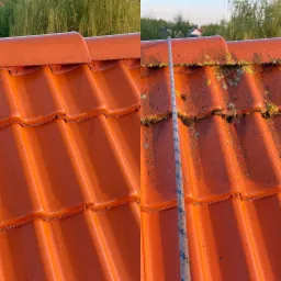 Czerwona dachówka przed i po czyszczeniu, widoczne porosty i mech na części dachu, lina w kadrze.