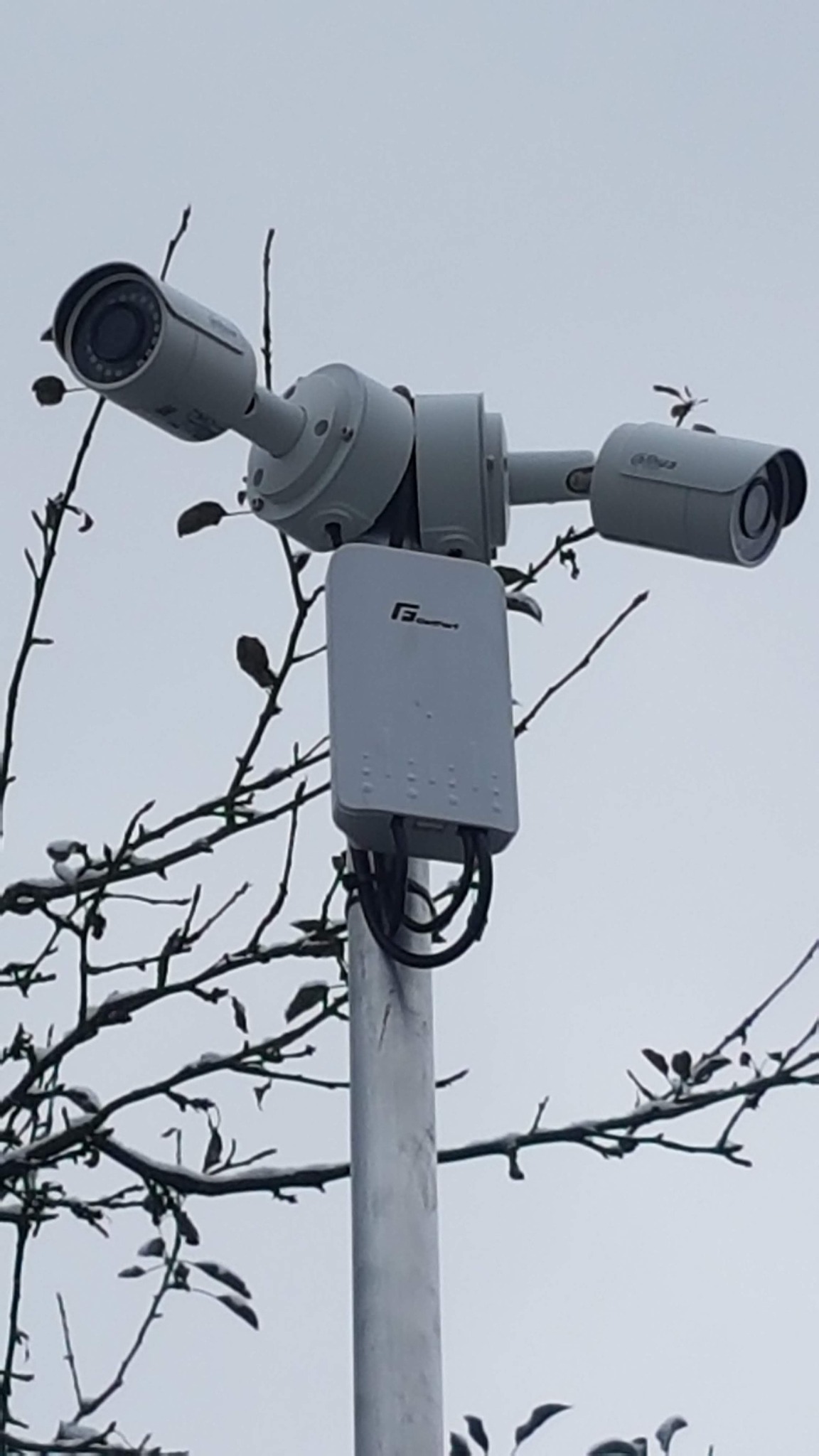 Dwie kamery przemysłowe marki Dahua zamontowane na słupie, z widoczną puszką przyłączeniową, na tle pochmurnego nieba i gałęzi drzew.