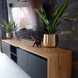 Nowoczesna szafka RTV z drewnianym blatem i czarnymi frontami, udekorowana doniczkami z roślinami i figurką słonia, na tle ściany o fakturze betonu i telewizora.