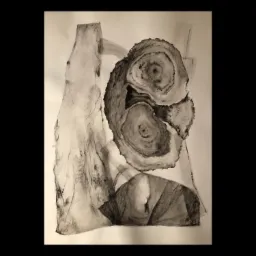 Abstrakcyjna kompozycja wykonana tuszem na papierze, przedstawiająca elementy przypominające przekrój pnia drzewa, fragment tkaniny i nieregularne kształty geometryczne w odcieniach szarości.