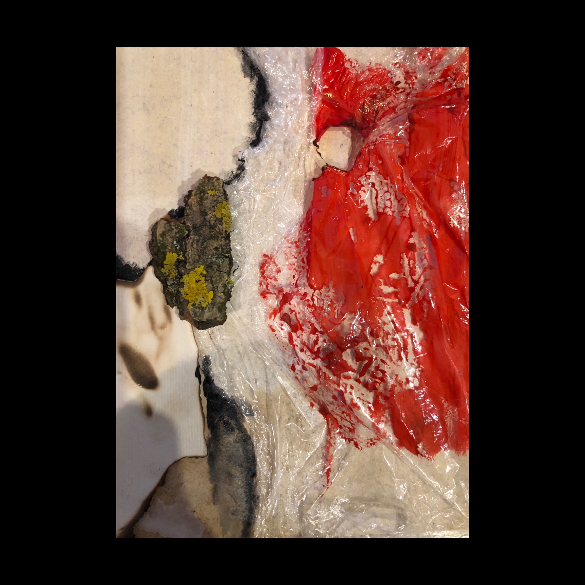 Abstrakcyjna kompozycja z fragmentem kory drzewa z porostami, czerwonej farby i folii na płótnie.