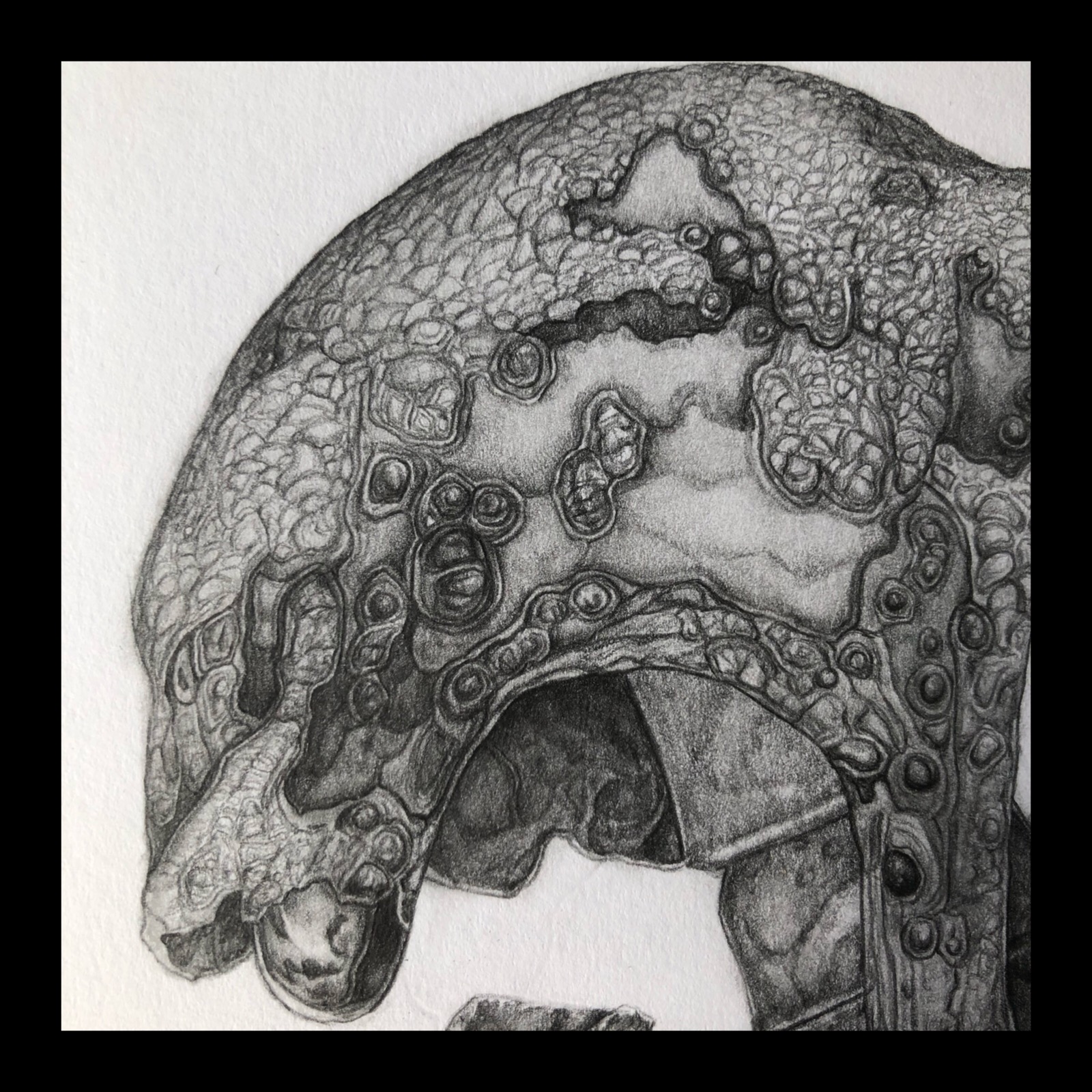 Szczegółowy rysunek ołówkiem przedstawiający fragment architektoniczny z wyraźną fakturą, przypominający element dekoracyjny lub fragment zabytkowej budowli z licznymi detalami i nierównościami.