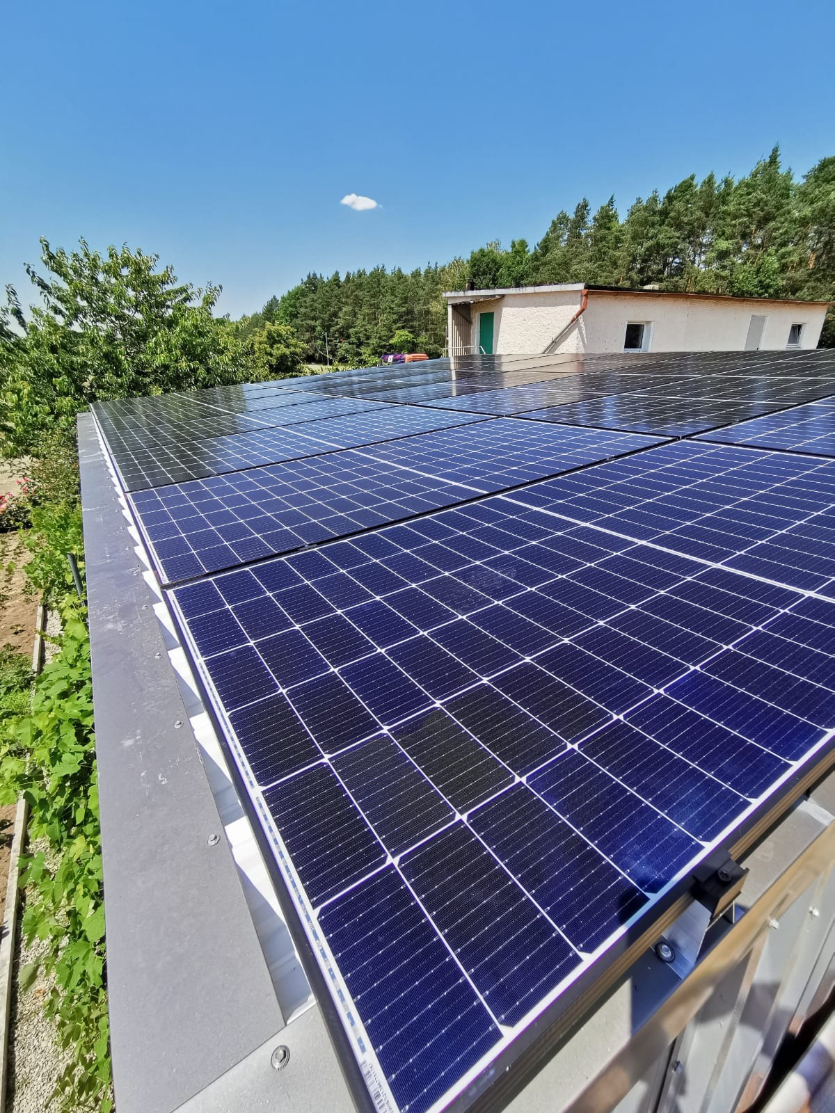 Błękitne panele słoneczne na płaskim dachu budynku z zielonymi drzewami w tle, widoczne mocowania paneli.