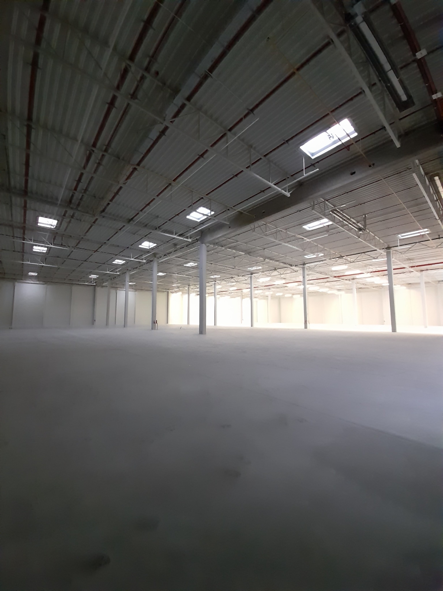 Wnętrze nowo wybudowanej, pustej hali magazynowej z betonową posadzką, białymi słupami nośnymi i oświetleniem sufitowym.