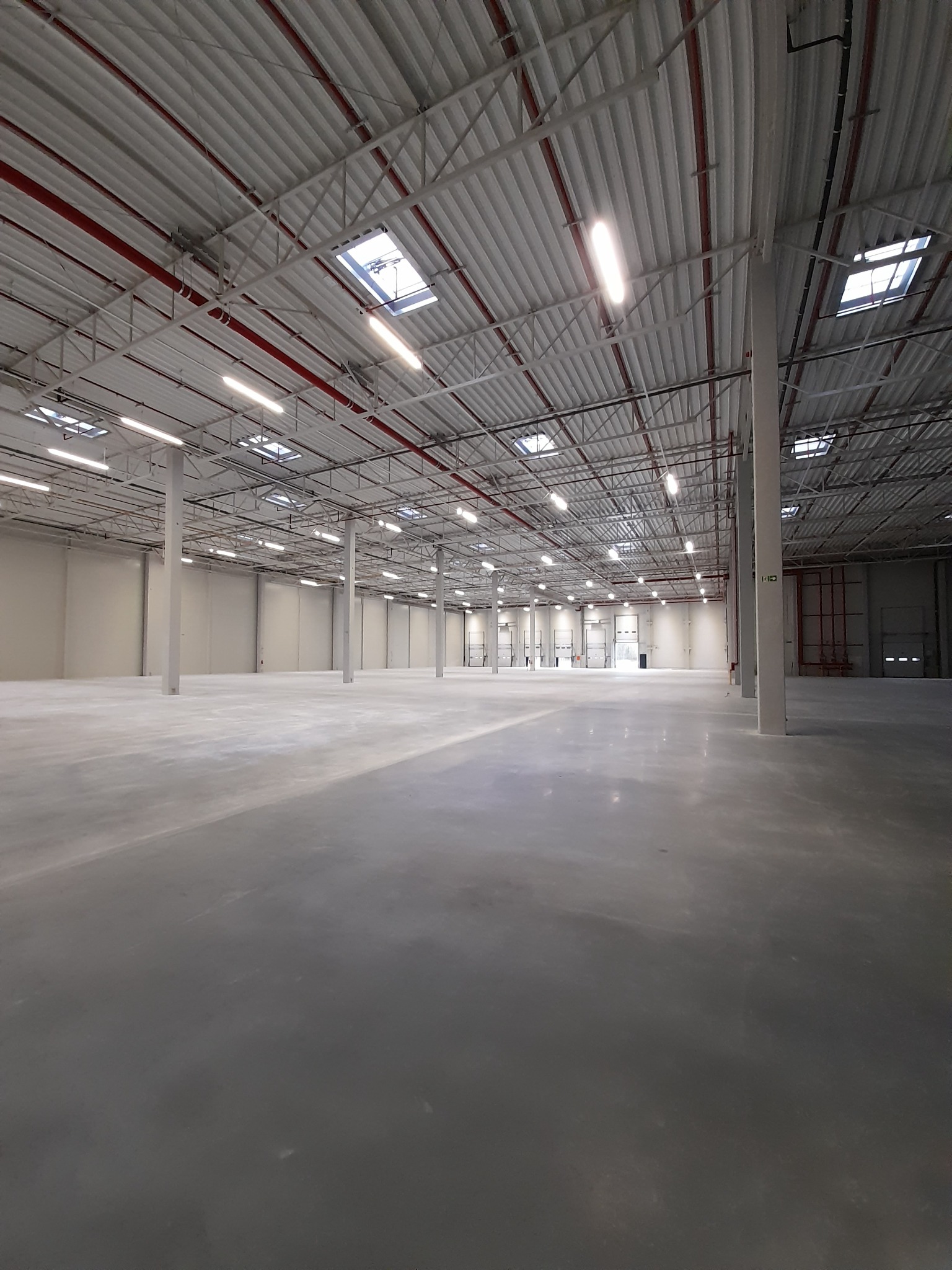 Wnętrze nowej, pustej hali magazynowej z betonową posadzką, widoczne stalowe słupy podtrzymujące biały, blaszany dach z oknami dachowymi i oświetleniem LED.