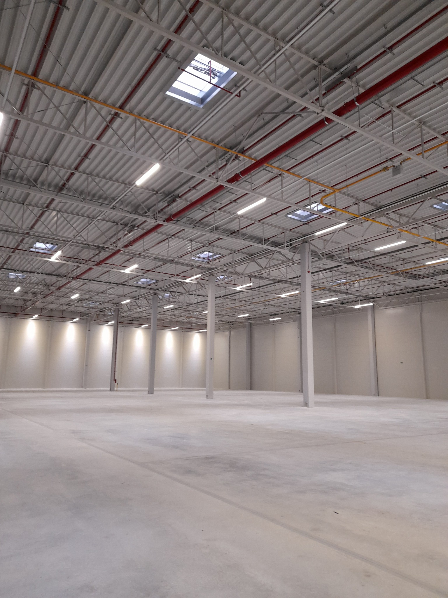 Wnętrze nowej, pustej hali z betonową podłogą, widoczne stalowe słupy, instalacje pod sufitem i świetliki.