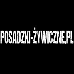 POSADZKI-ŻYWICZNE.PL - Firma Posadzkarska Warszawa