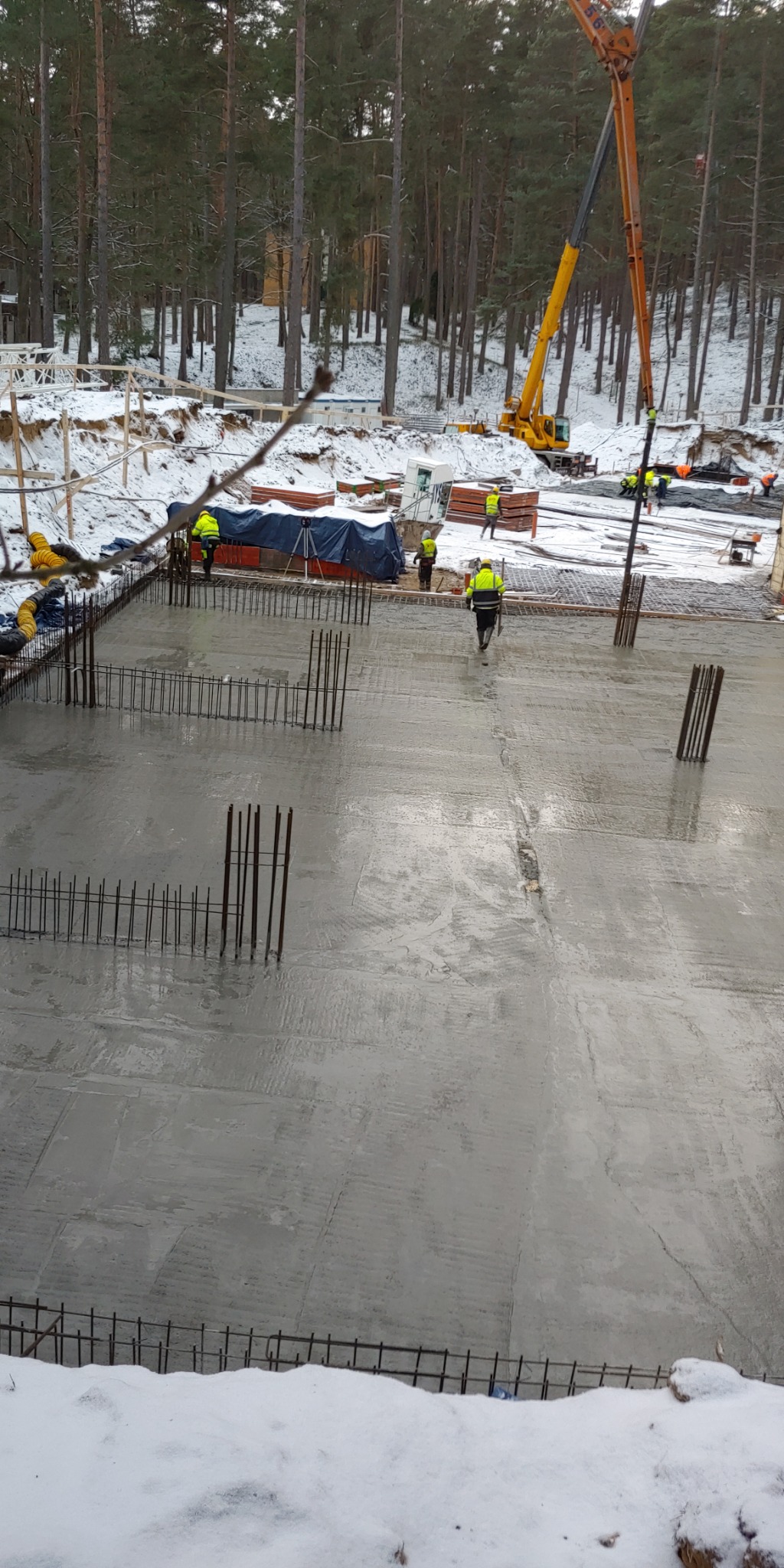 Świeżo wylana betonowa płyta fundamentowa z wystającymi prętami zbrojeniowymi, widoczni pracownicy w odblaskowych kamizelkach i pompa do betonu w tle, zimowa sceneria z ośnieżonym terenem i lasem.