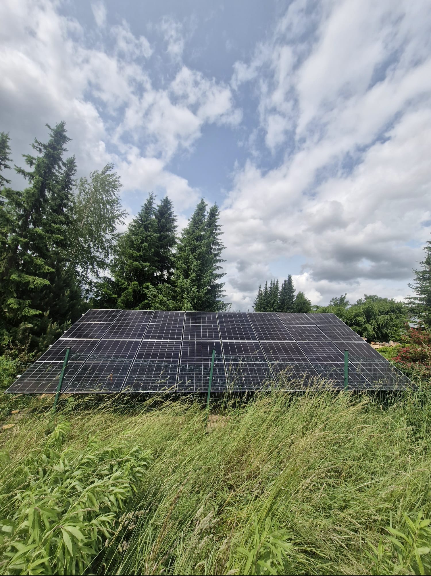 Panel fotowoltaiczny na tle zieleni i pochmurnego nieba. System ogrodzony niskim płotkiem. Widok z poziomu trawy, zieleń na pierwszym planie.