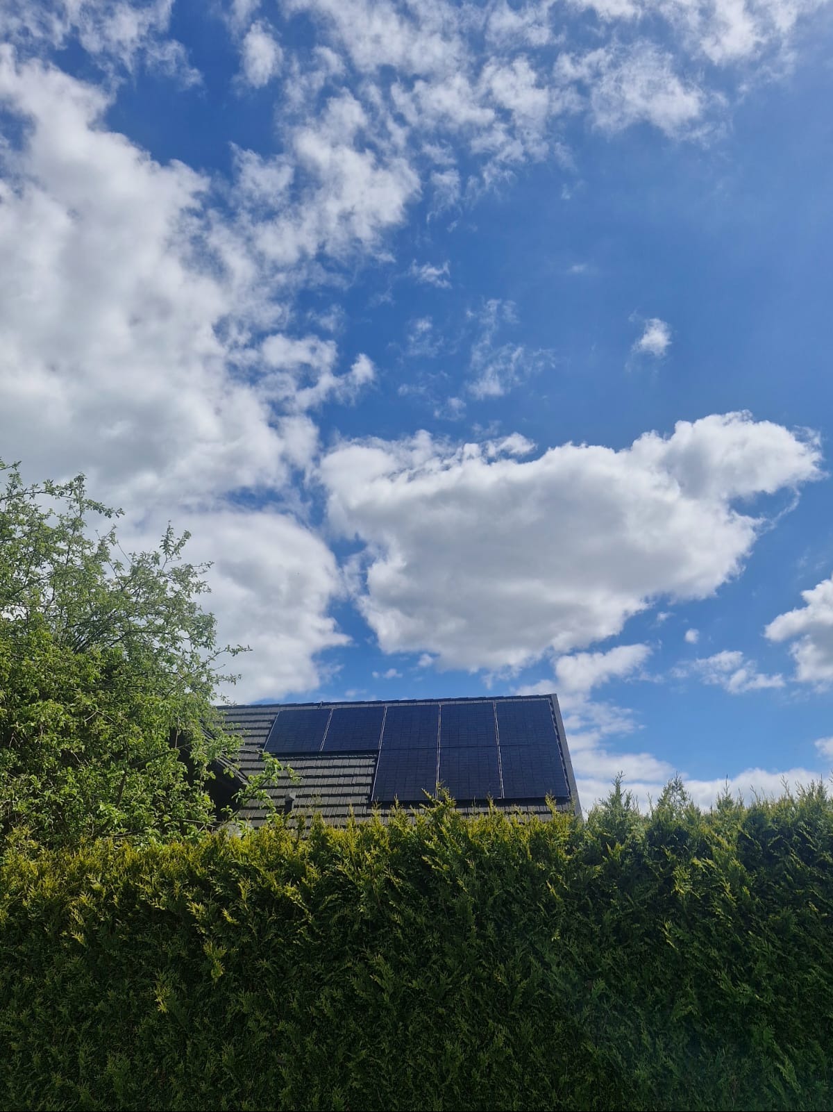 Panele słoneczne na dachu domu zza żywopłotu, błękitne niebo z białymi obłokami w tle. Widok z dołu, w słoneczny dzień.