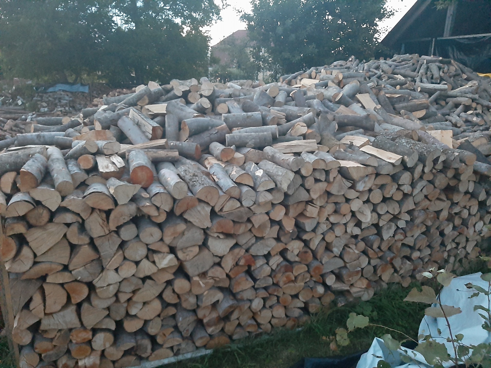 Stos pociętego drewna ułożonego w pryzmę na zewnątrz, widoczne końcówki z korą i sękami, w tle zieleń drzew i zadaszenie