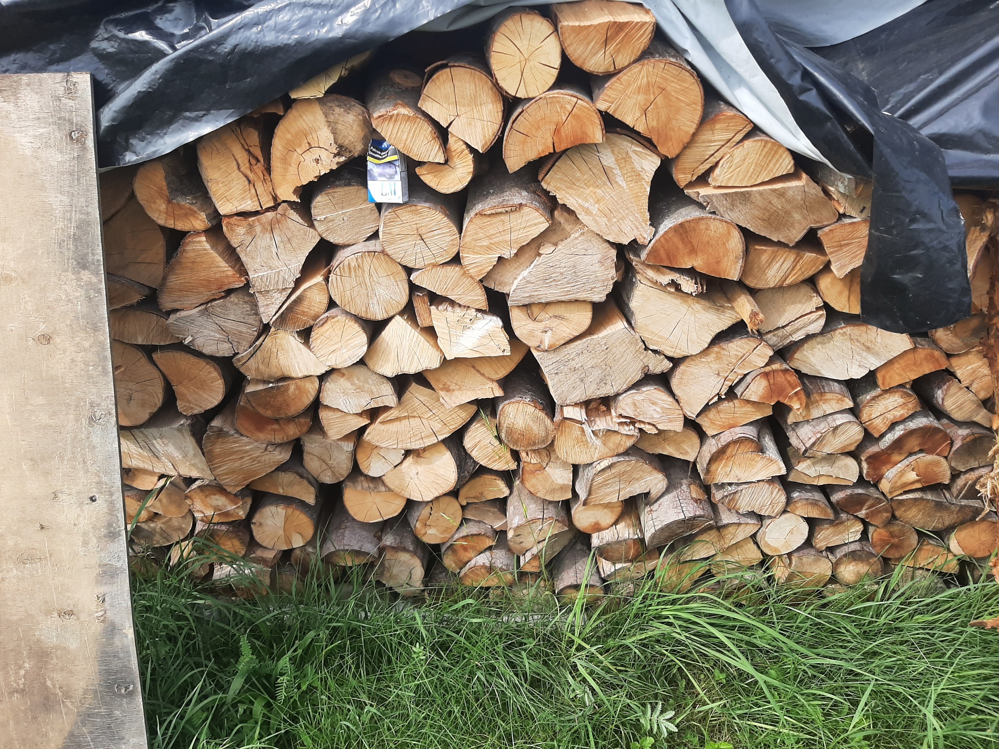 Stos pociętego drewna opałowego ułożonego pod czarną folią, z paczką papierosów włożoną między szczapy i trawą u podstawy.
