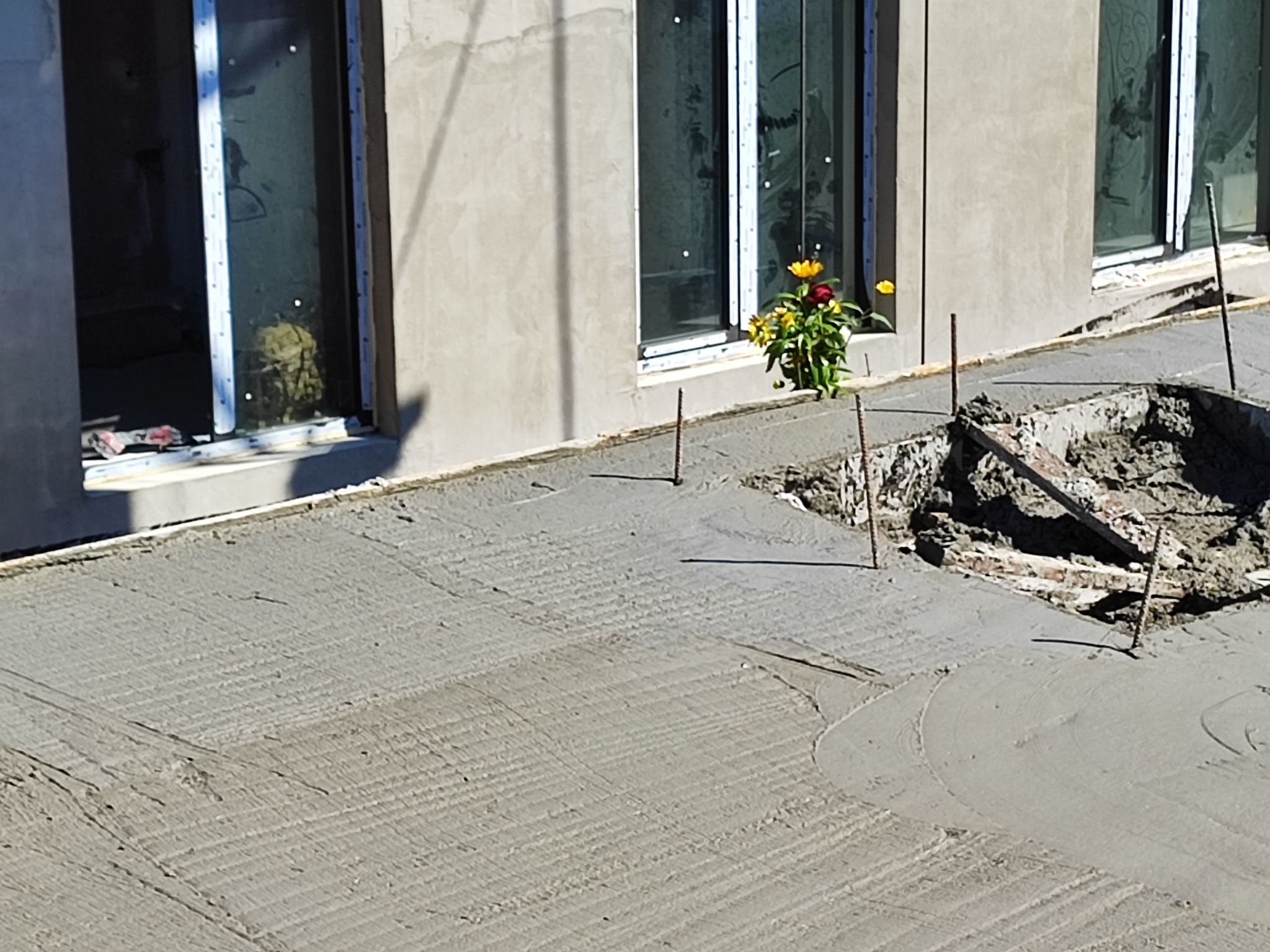 Świeżo wylany betonowy chodnik z widocznymi prętami zbrojeniowymi, z fragmentem wykopu z gruzem i cegłami. Na tle ściana budynku z oknami, a w jednym z okien doniczka z kwiatami.