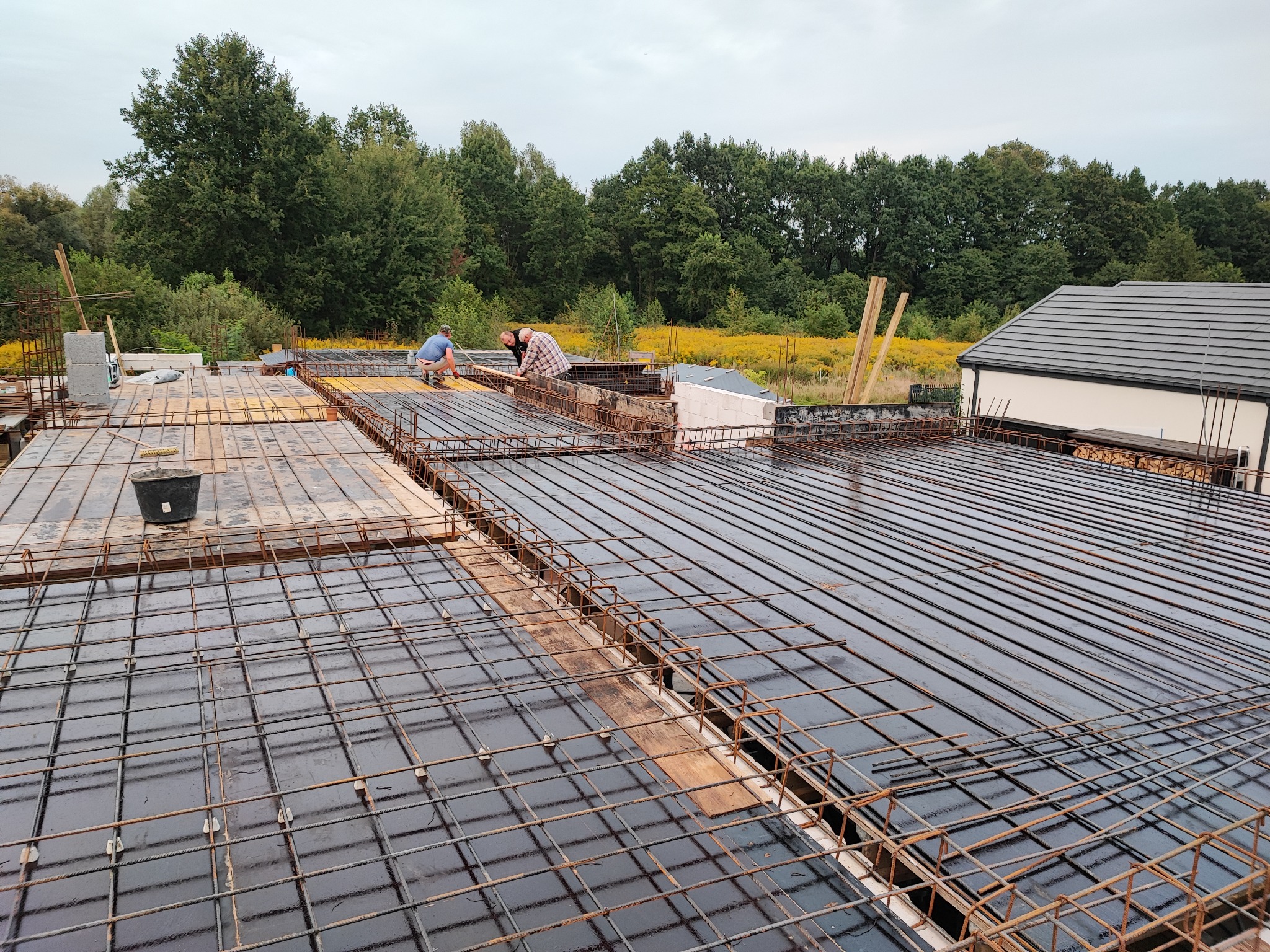 Zbrojenie stropu budynku jednorodzinnego z widocznymi pracownikami układającymi szalunek, w tle zieleń drzew i część dachu sąsiedniego budynku.