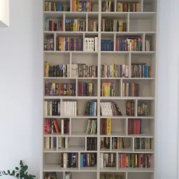 Duża, biała, asymetryczna biblioteczka wypełniona książkami, z rośliną doniczkową u dołu po lewej stronie.