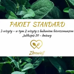 Grafika informująca o pakiecie standard: 3 wizyty, w tym 2 z badaniem biorezonansem oraz jadłospis 14-dniowy, otoczona liśćmi szałwii.