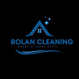 Bolan Cleaning-mycie dachu ,kostki,elewacji - Mycie Dachówki Gubin