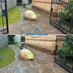 Czysta kostka brukowa po umyciu, widoczna rzeźba jeża, brama z kutego żelaza i ślady wilgoci po czyszczeniu.