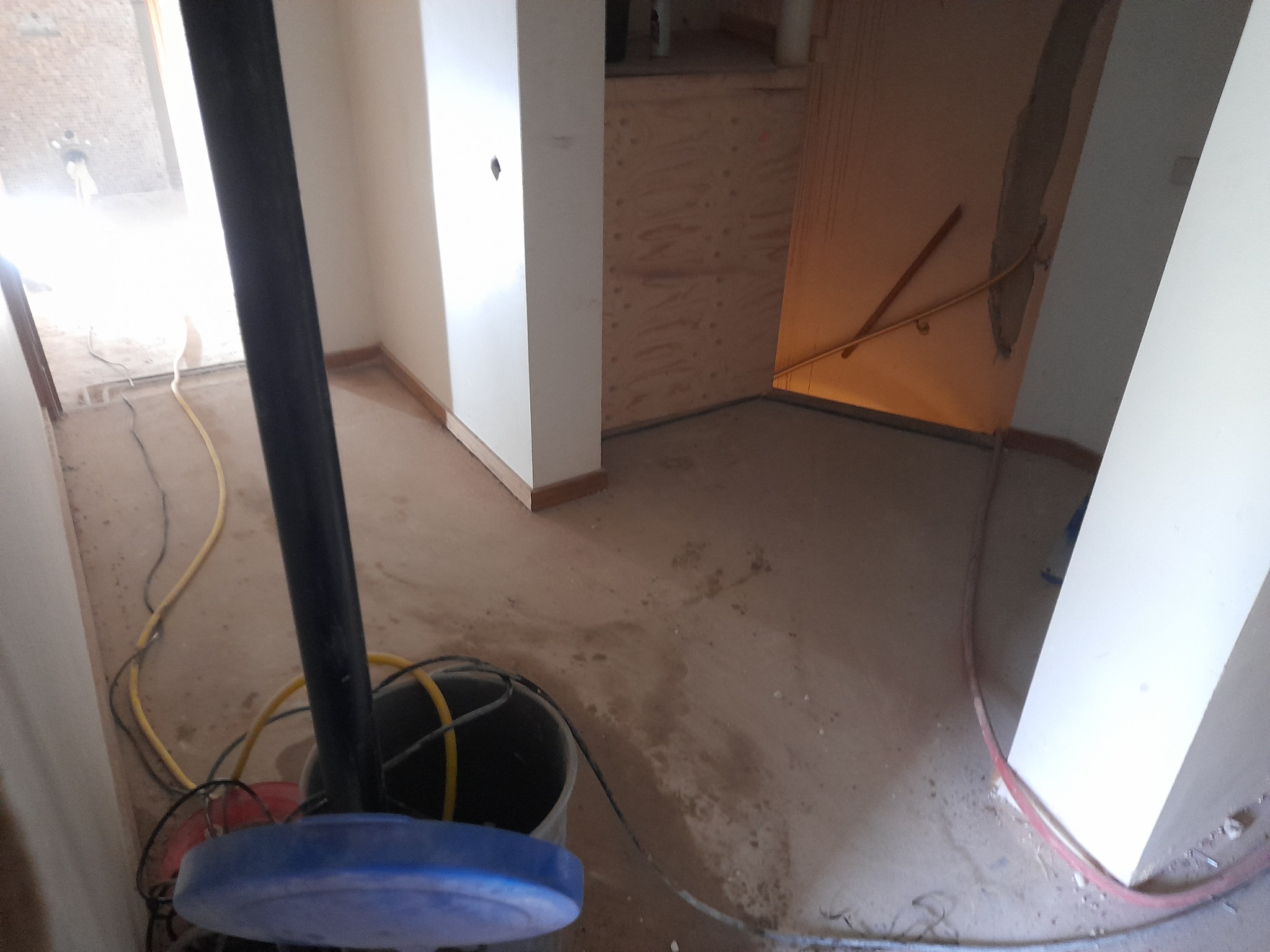 Zerwanie dywanu z podłogi wraz z posprzątaniem