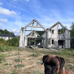 Wznoszony dom z białego bloczka, widoczny szkielet dachu i pracujący na nim robotnik, na pierwszym planie pies rasy bokser z obrożą i identyfikatorem.