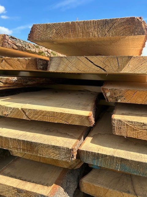 Stos desek z widocznymi słojami drewna i korą, ułożonych warstwami pod błękitnym niebem. Naturalna tekstura drewna w ciepłym oświetleniu.