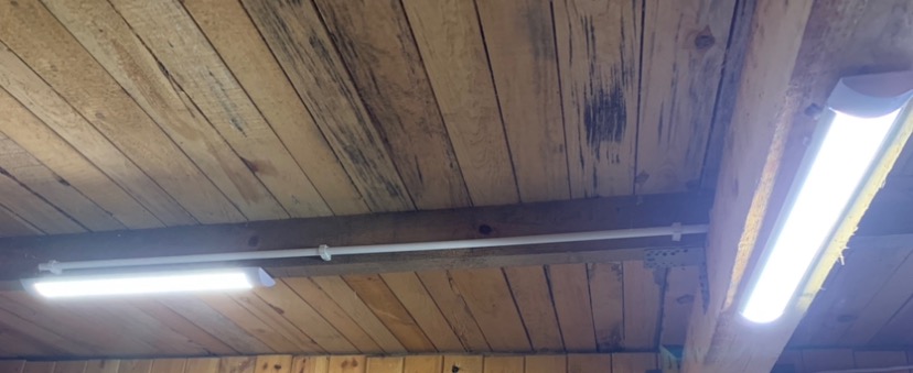 Dwie podłużne lampy LED zamontowane na drewnianym suficie z widoczną instalacją elektryczną w białej rurce PCV z uchwytami.