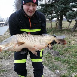 WM-bud - Sufit Napinany Łódź