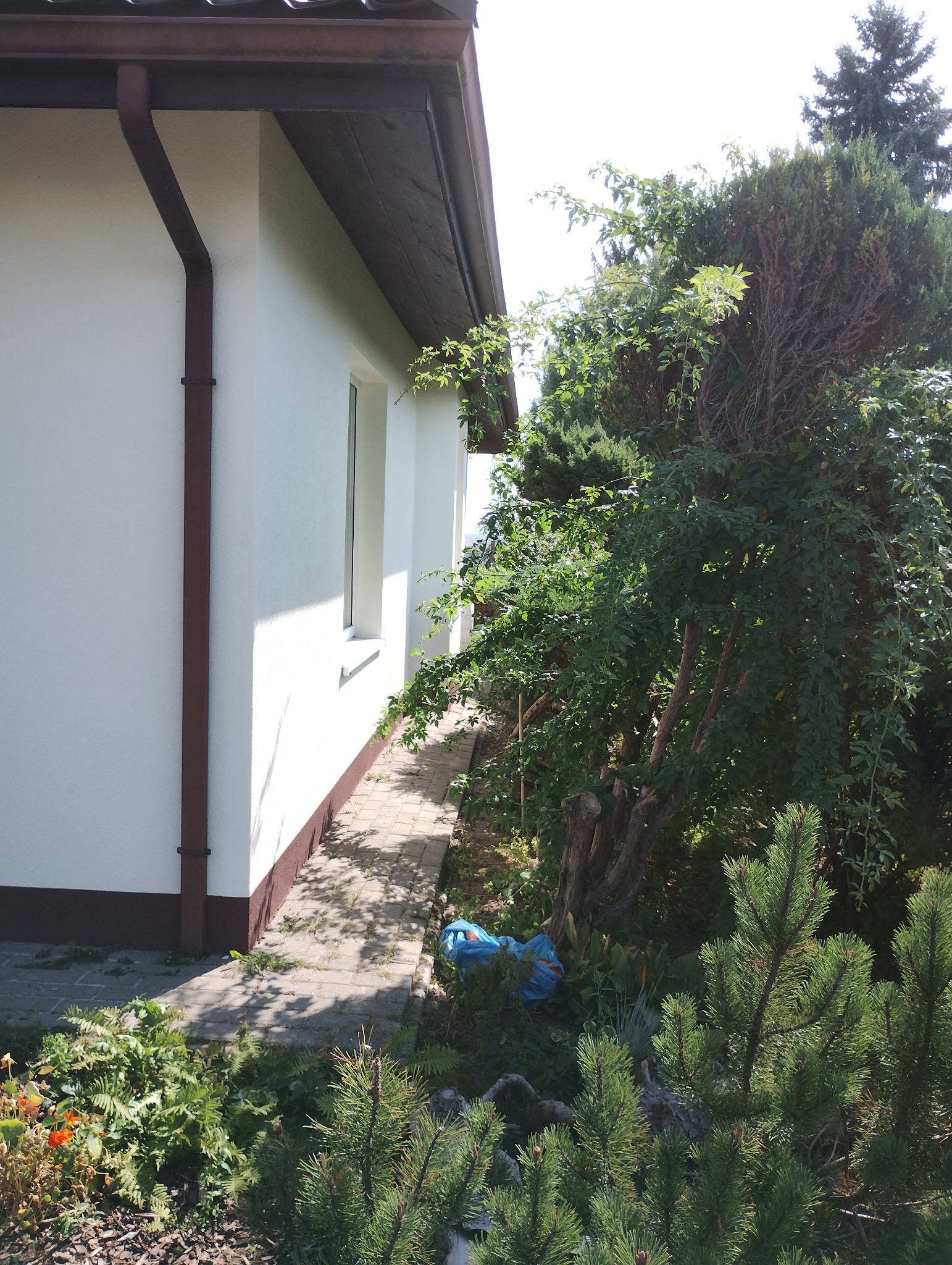 Biała elewacja domu jednorodzinnego w Strzyżowie z brązowymi akcentami, widoczna z poziomu ogrodu. Ścieżka z kostki prowadzi wzdłuż ściany.