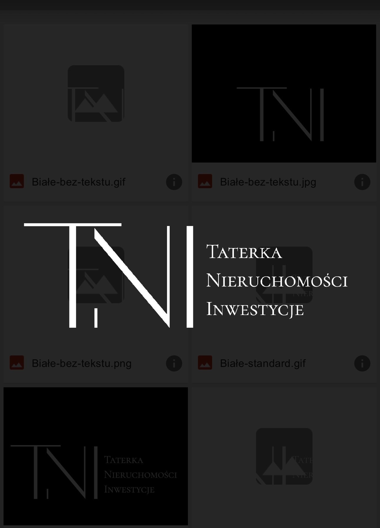 Zestawienie logo firmy Taterka Nieruchomości Inwestycje w różnych formatach graficznych, prezentujące minimalistyczny design z wykorzystaniem inicjałów i pełnej nazwy.