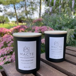 Znicze Grodzisk Wielkopolski 3