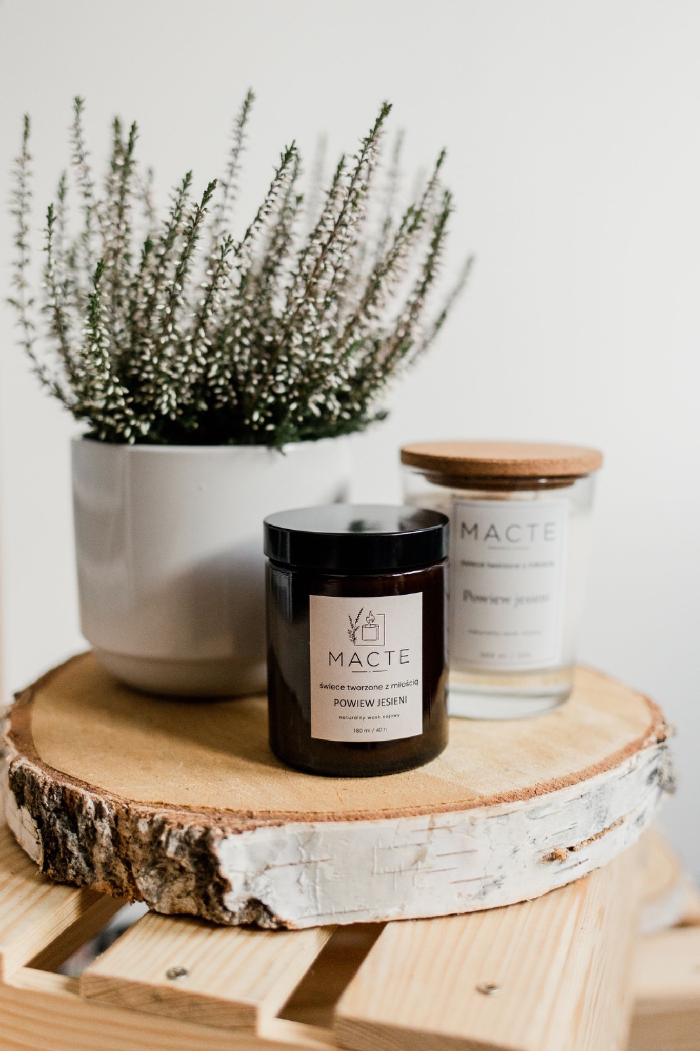 Dwie świece sojowe marki MACTE, jedna w ciemnym słoiku z etykietą 'POWIEW JESIENI', druga w przezroczystym słoiku z korkowym wieczkiem, ustawione na drewnianym plastrze brzozy, obok doniczki...