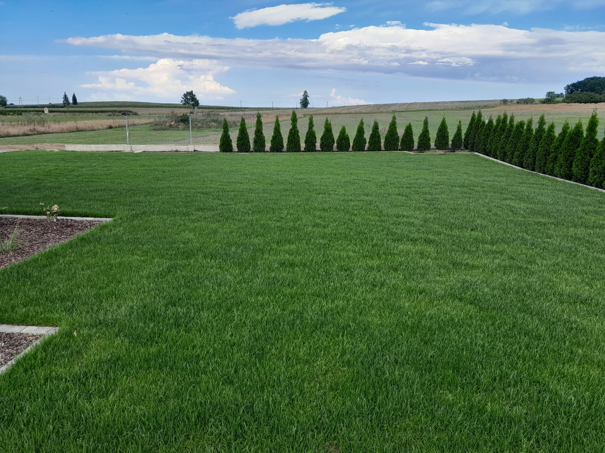 Rozległy, intensywnie zielony trawnik z równo przyciętą trawą, obrzeża z kostki i kory, rząd regularnie posadzonych tuj w tle, krajobraz polny z drzewami na horyzoncie, błękitne niebo z obłokami.