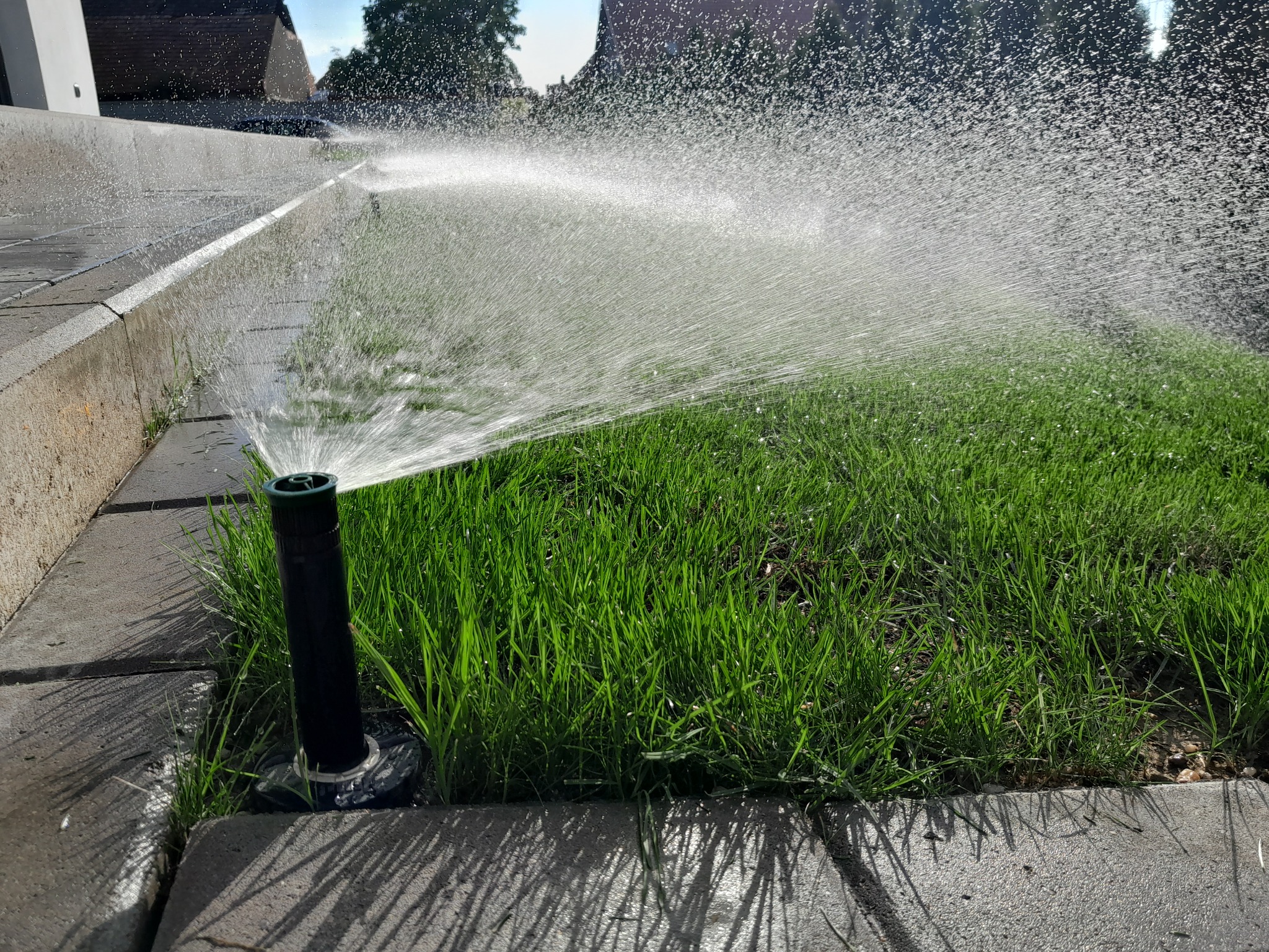 Automatyczny zraszacz trawnikowy w akcji, wyrzucający wodę na soczystą, zieloną trawę, otoczony betonową obwódką, z domami w tle.