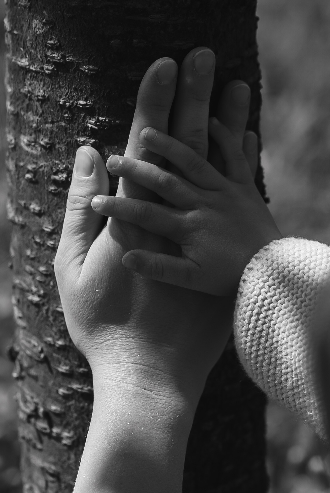 Czarno-białe zbliżenie dłoni dorosłego i dziecka splecionych na tle kory drzewa, symbolizujące więź i bliskość.