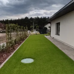 Świeżo założony trawnik z rolki przylegający do nowoczesnego domu z czarną bramą i ścieżką z płyt, widoczne drzewka owocowe prowadzone przy ogrodzeniu, pochmurne niebo w tle.