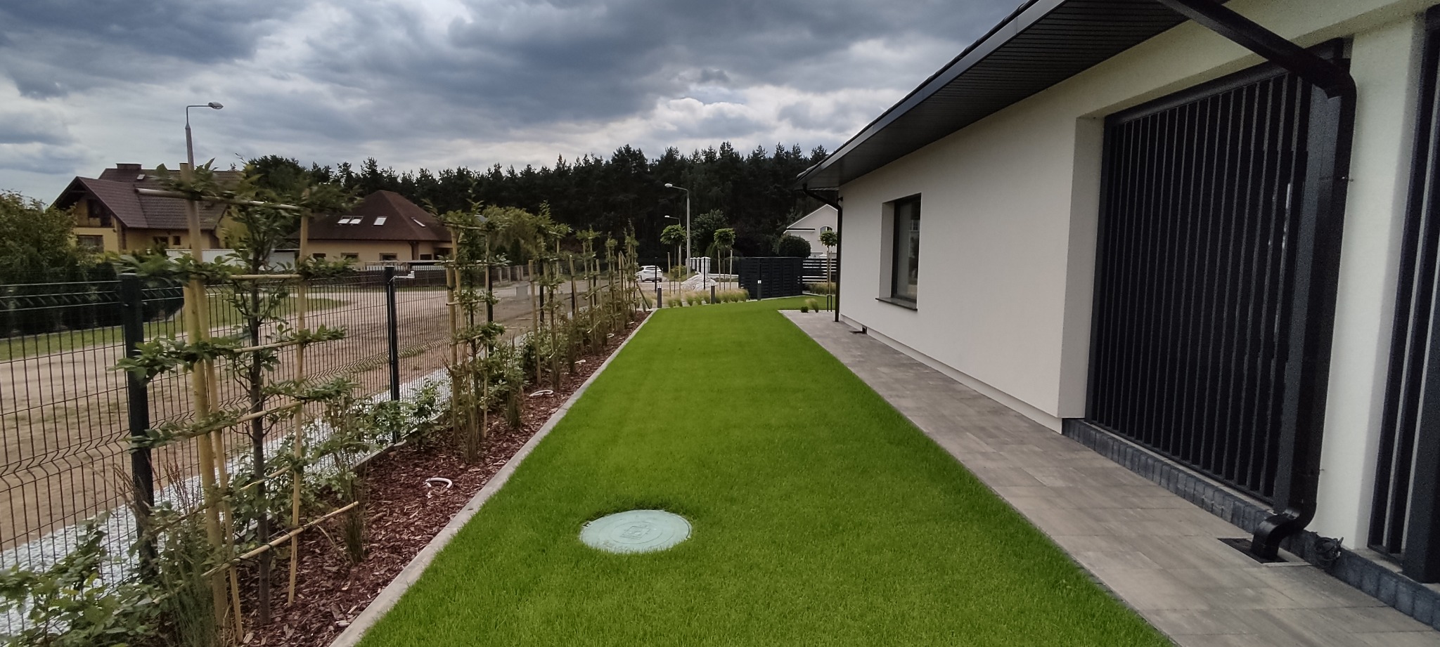 Świeżo założony trawnik z rolki przylegający do nowoczesnego domu z czarną bramą i ścieżką z płyt, widoczne drzewka owocowe prowadzone przy ogrodzeniu, pochmurne niebo w tle.