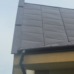 Mal-Dach Ireneusz Wnęk - Doskonałe Malowanie Dachów
