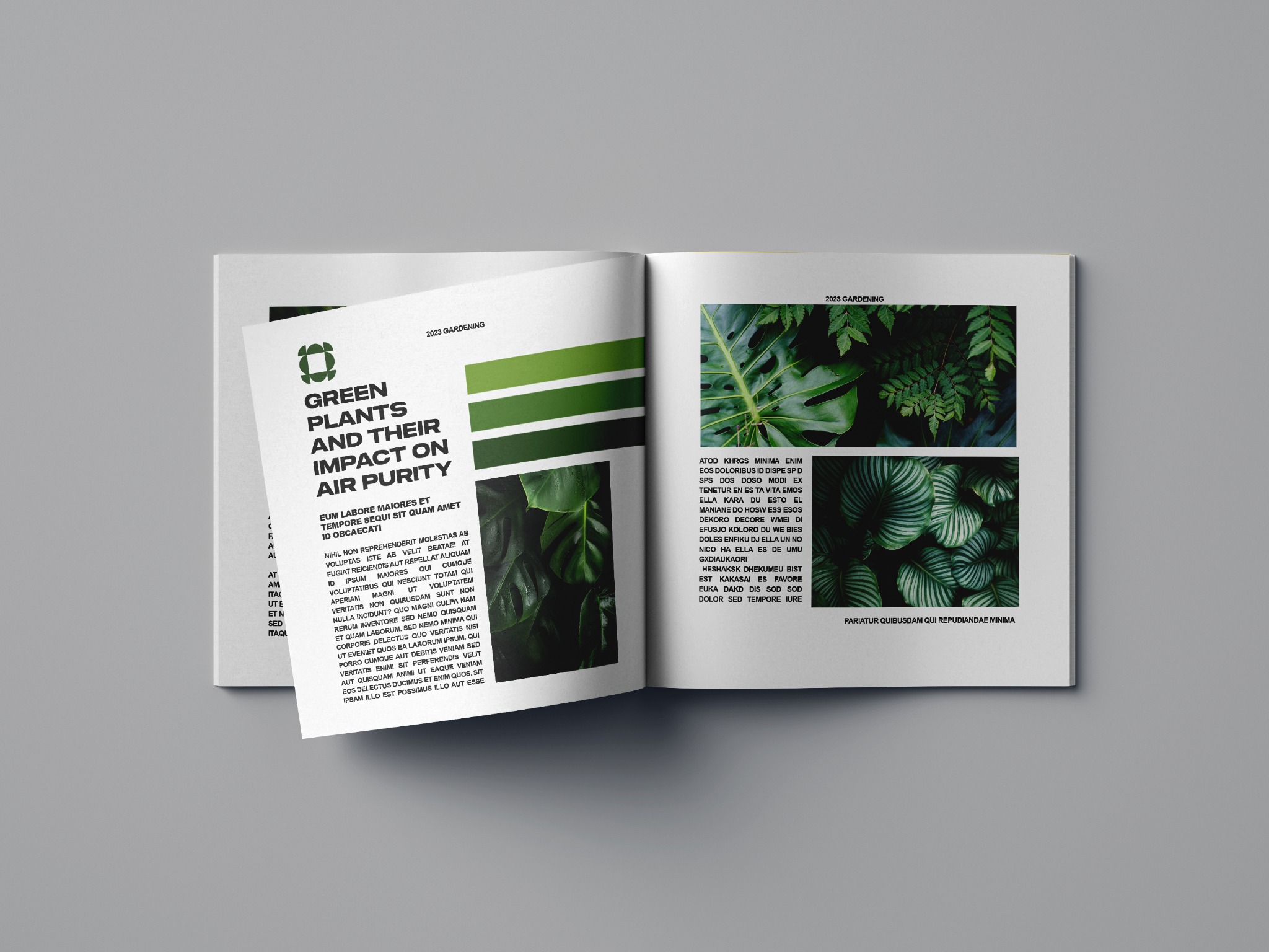 Otwarta broszura z układem graficznym prezentującym rośliny i ich wpływ na czystość powietrza, z użyciem zielonej kolorystyki i zdjęć roślin.