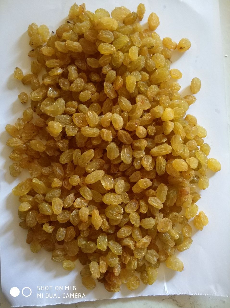 Kupka złotych rodzynek na białym papierze, widoczne drobne zmarszczki na skórce.