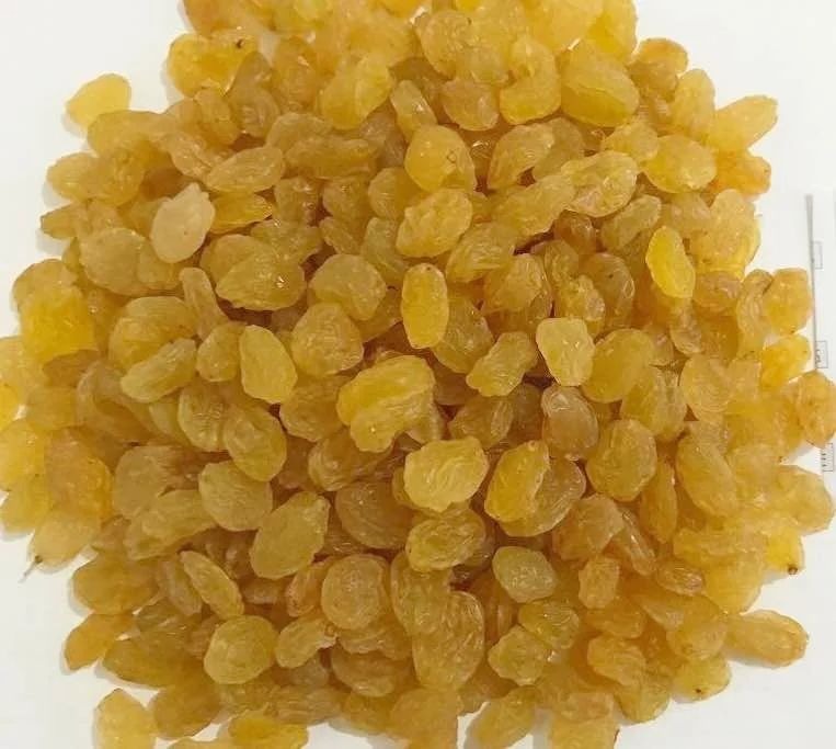 Gęsta kupka złotych rodzynek na białym tle, z widoczną strukturą i półprzezroczystością owoców.