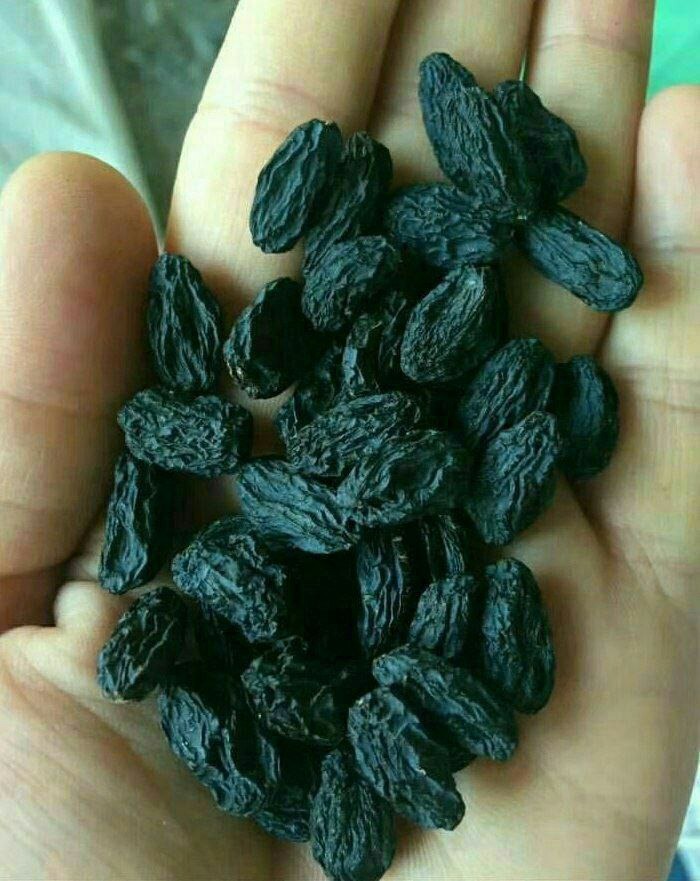 Garść ciemnych rodzynek w dłoni, widoczne zmarszczki na skórze i nierównomierne oświetlenie.