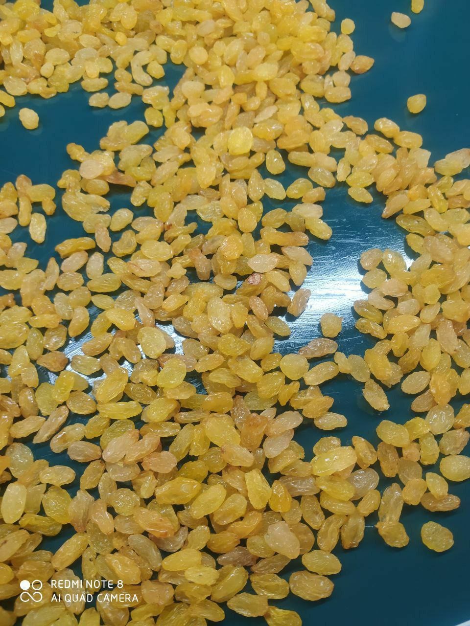 Suszone winogrona odmiany sułtanki rozsypane na turkusowym tle, widoczne delikatne zmarszczki na powierzchni owoców.