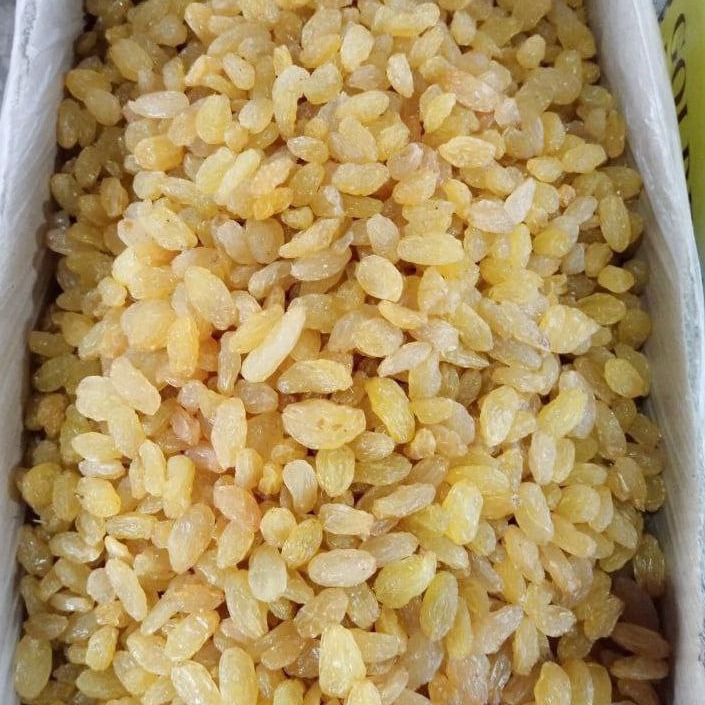 Jasnozłote rodzynki sułtanki w białym pojemniku, widoczne z góry, tekstura pomarszczonych owoców.