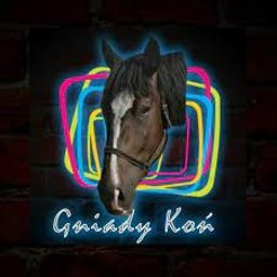 Sklep Jeździecki Gniady Koń - Grafik Komputerowy Łódź