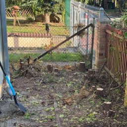 Wycinka drzew Krosno Odrzańskie 4